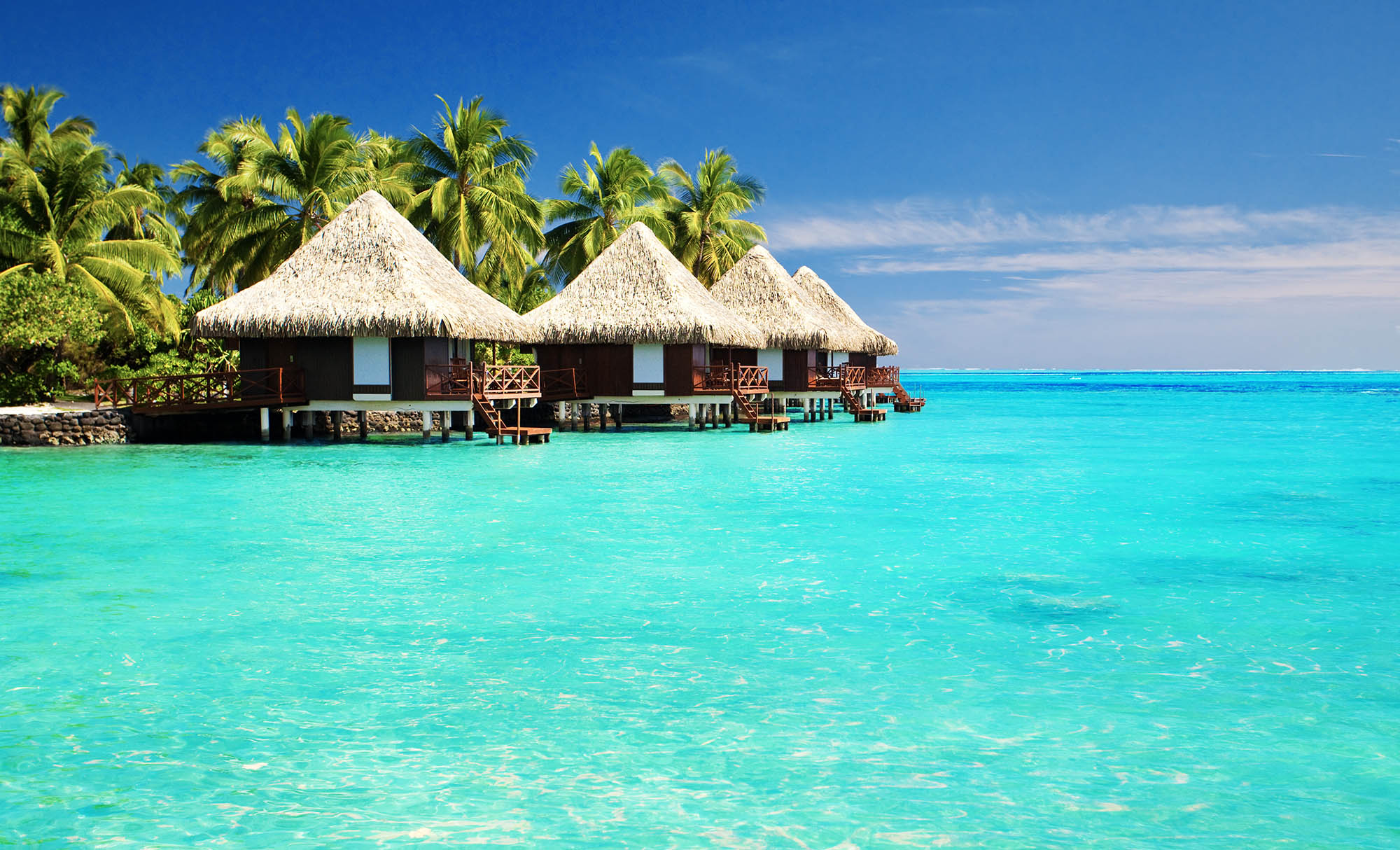 A tropical island with huts on the shore